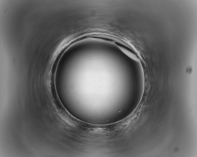 X0000099420151200805091251