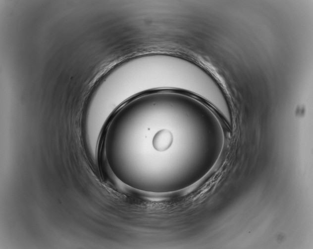X0000099420154200805091251