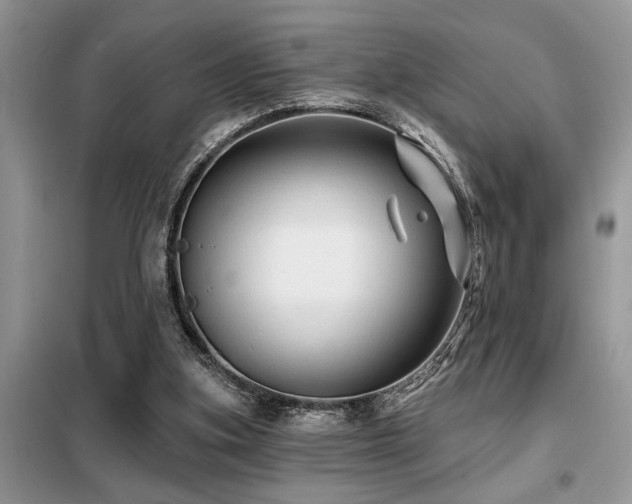 X0000099420155200805091251