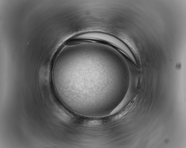 X0000099420156200805091251