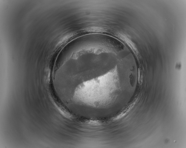 X0000099420157200805091251