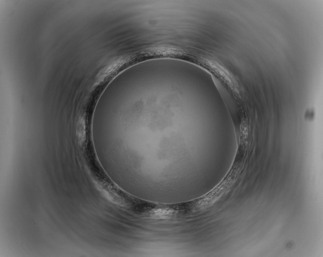 X0000099420158200805091251