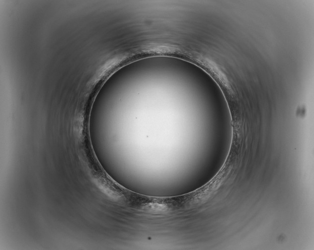 X0000099420159200805091251