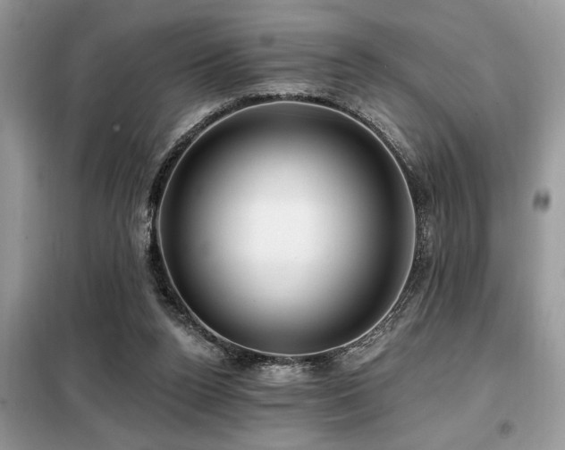 X0000099420160200805091251