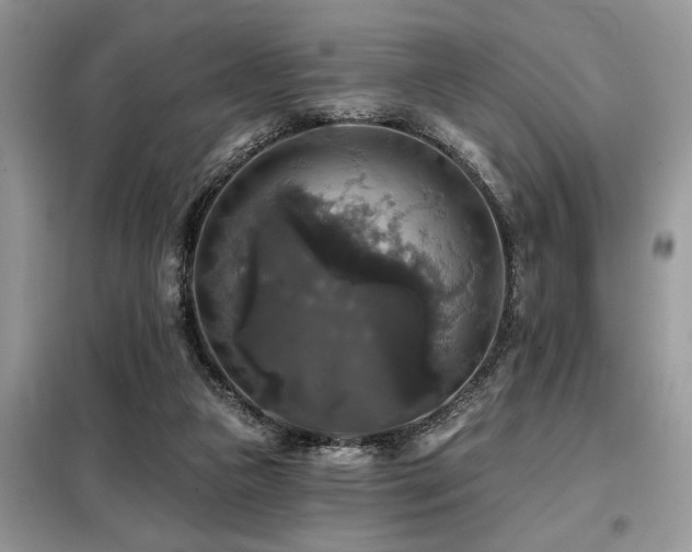 X0000099420161200805091251