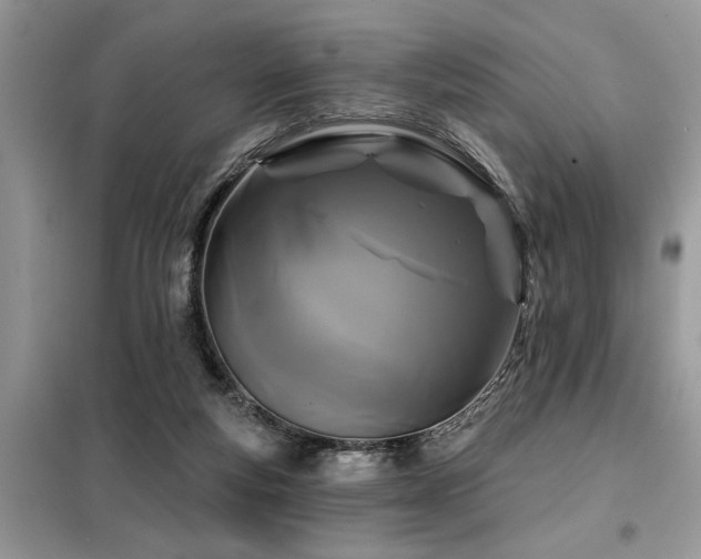 X0000099420163200805091251
