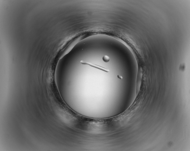 X0000099420164200805091251