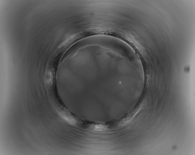 X0000099420165200805091251