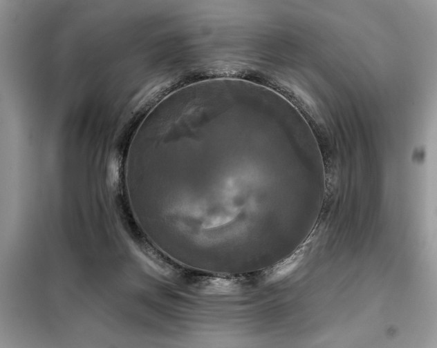 X0000099420166200805091251