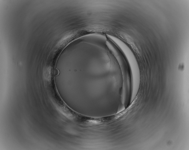 X0000099420167200805091251