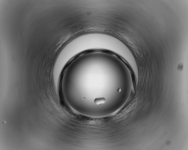 X0000099420168200805091251