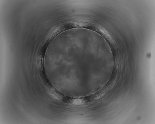 X0000099420169200805091251