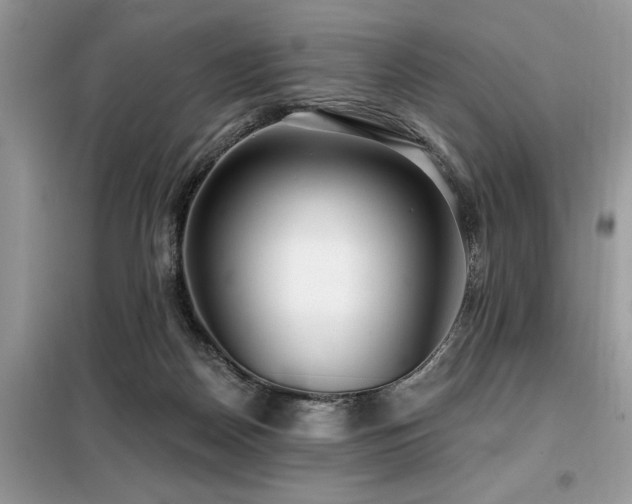 X0000099420170200805091251