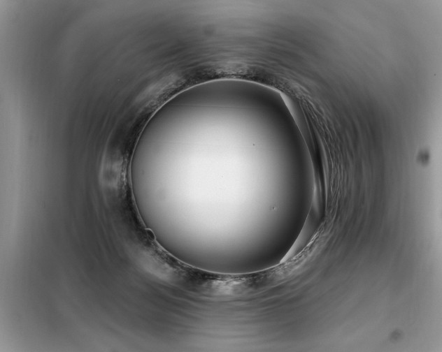 X0000099420172200805091251