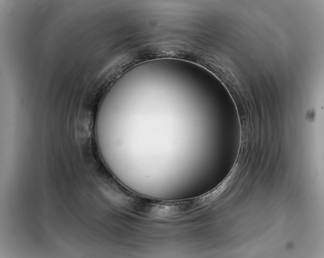 X0000099420174200805091251