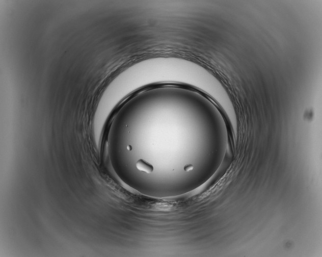 X0000099420176200805091251