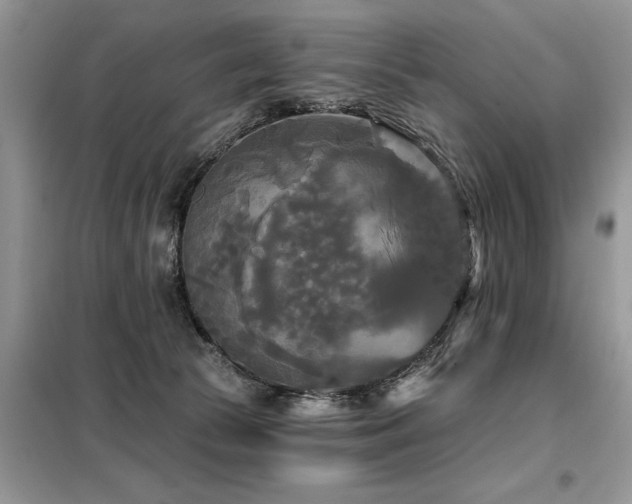 X0000099420177200805091251