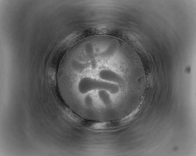 X0000099420178200805091251
