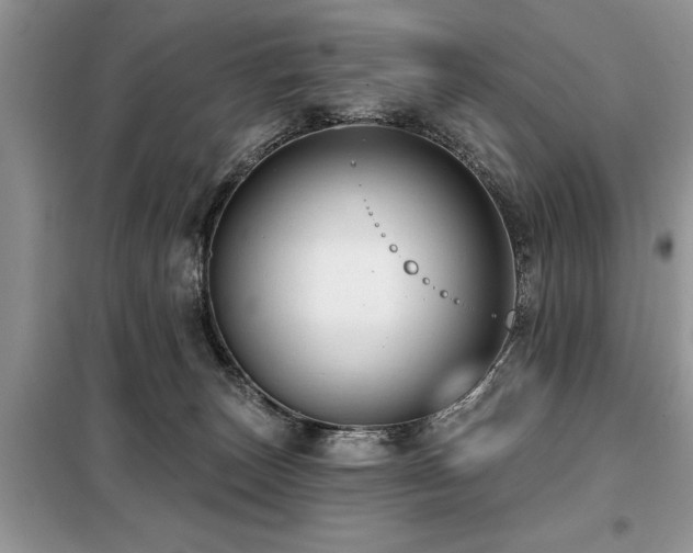 X0000099420179200805091251