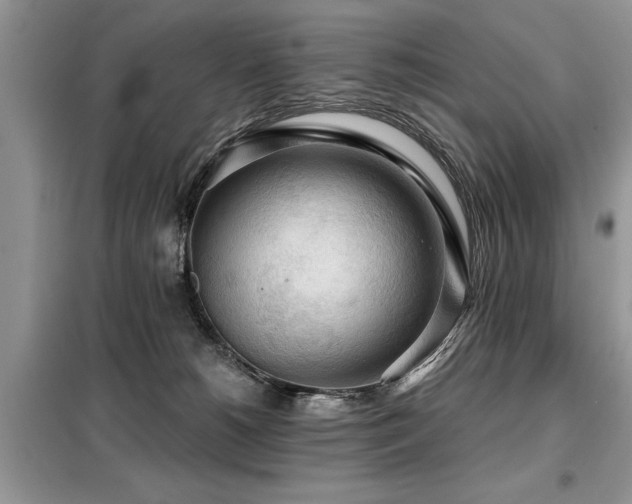 X0000099420180200805091251