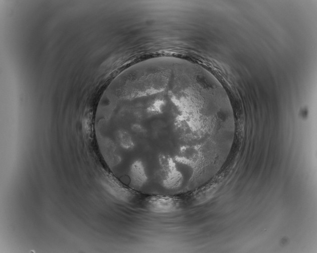 X0000099420181200805091251