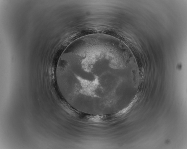 X0000099420182200805091251