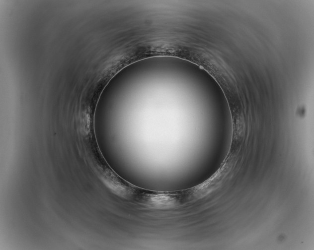X0000099420183200805091251