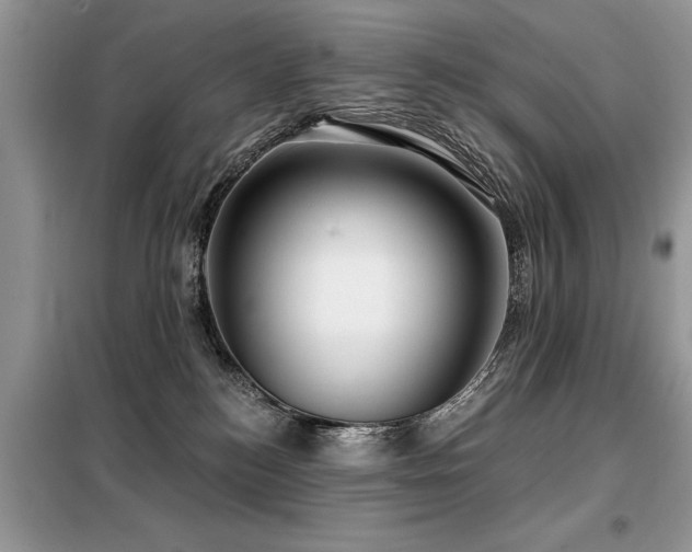X0000099420184200805091251
