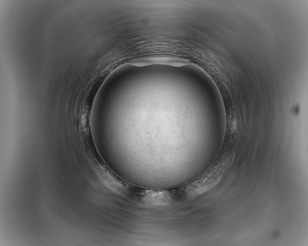 X0000099420185200805091251