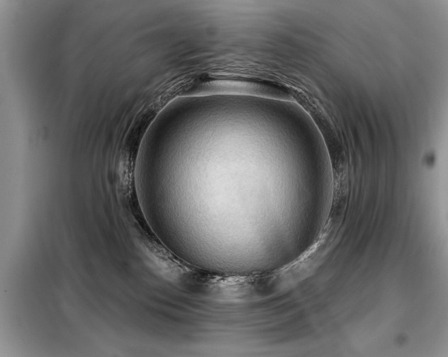 X0000099420186200805091251