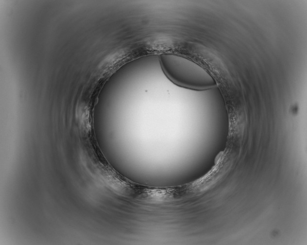 X0000099420187200805091251