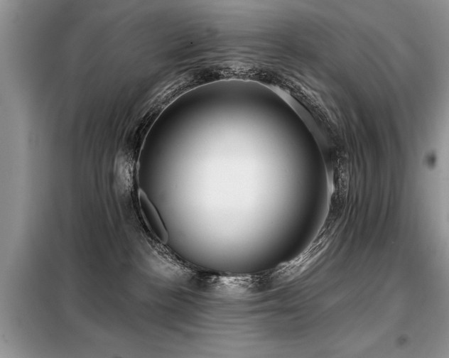 X0000099420188200805091251
