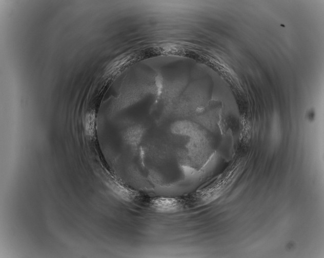 X0000099420189200805091251