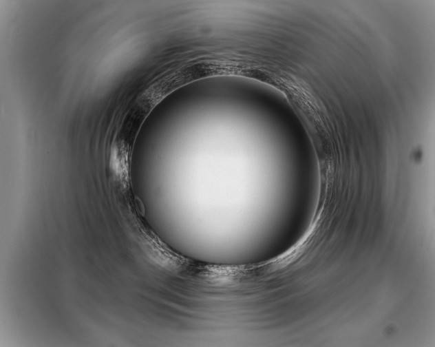 X0000099420190200805091252