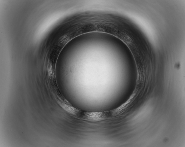 X0000099420191200805091252