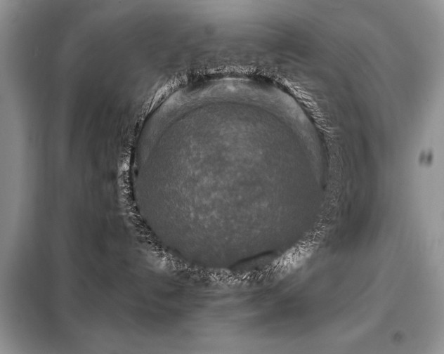 X0000099420192200805091252