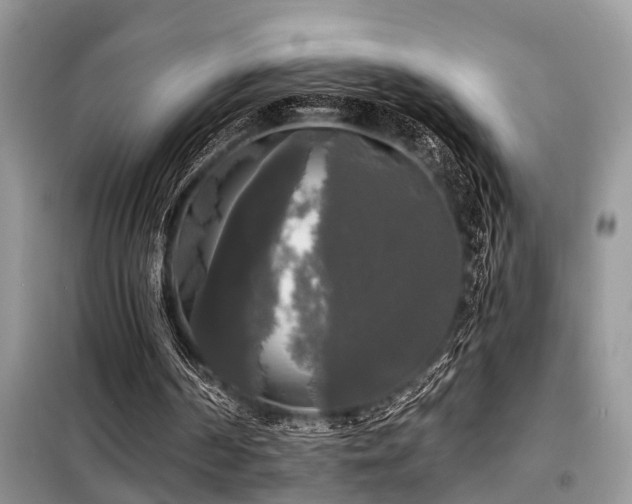 X0000099420194200805091251