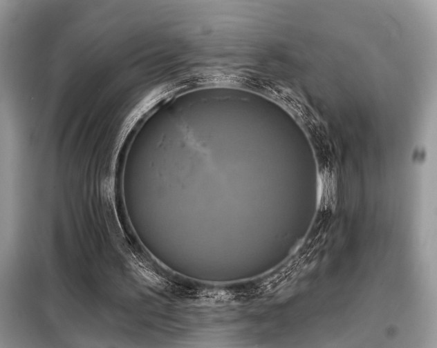 X0000099420195200805091251