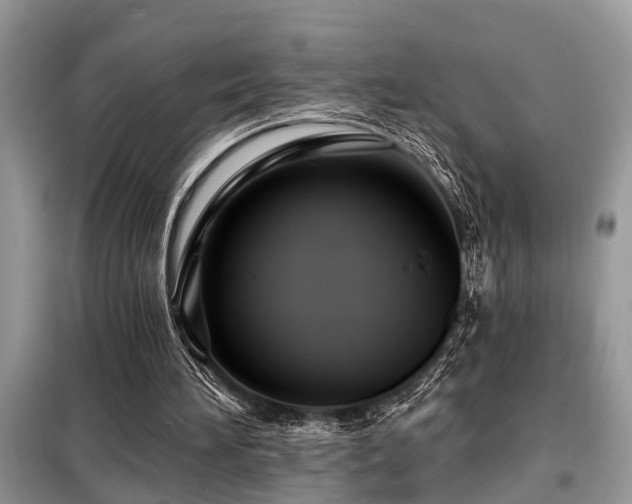 X0000099420196200805091251