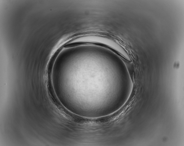 X0000099420198200805091251