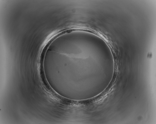 X0000099420199200805091251