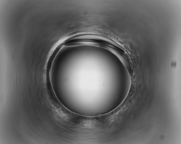 X0000099420200200805091251