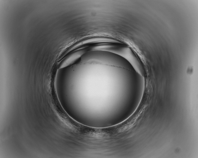X0000099420201200805091251