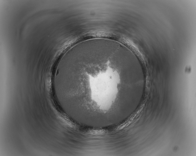 X0000099420202200805091251