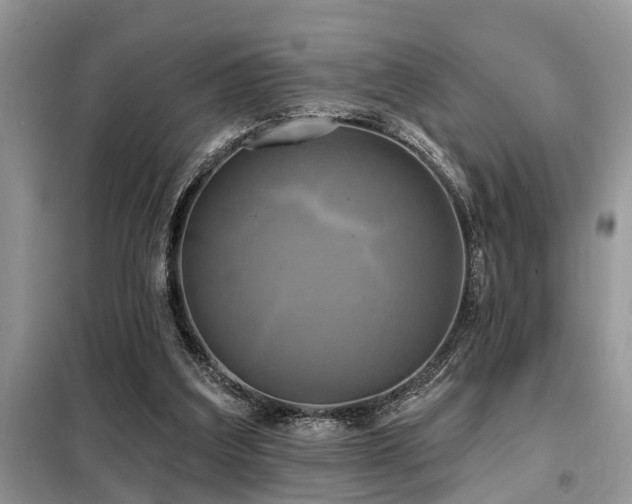 X0000099420203200805091251