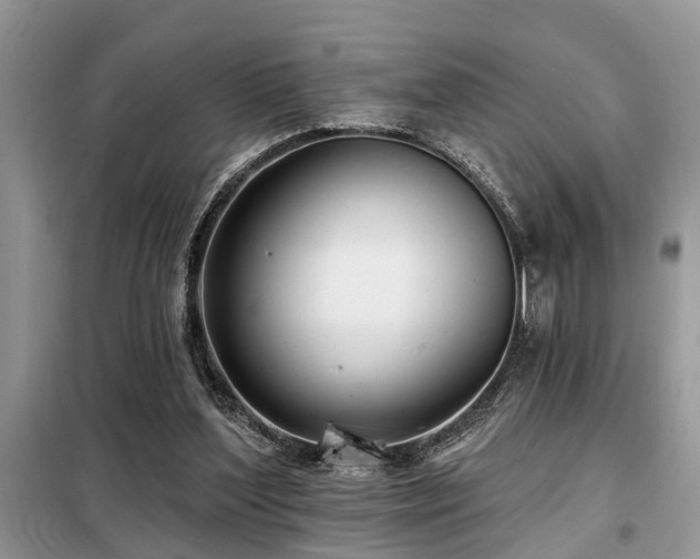 X0000099420204200805091251