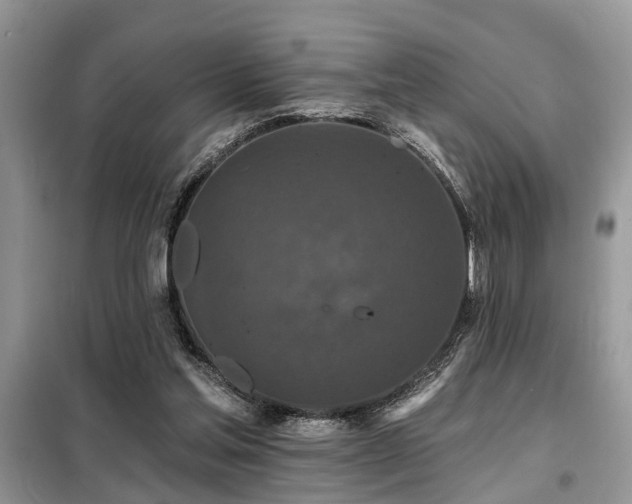 X0000099420205200805091251
