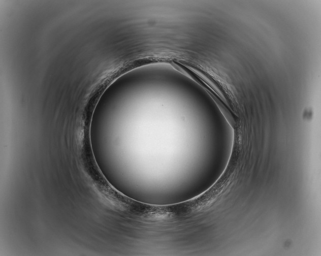 X0000099420206200805091251
