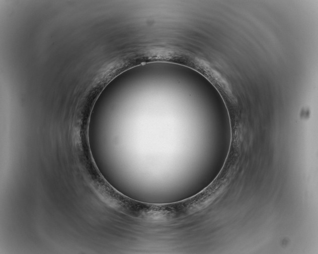X0000099420209200805091251
