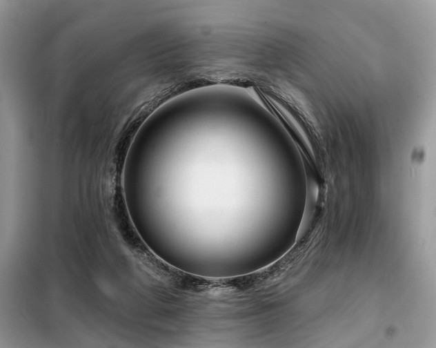 X0000099420210200805091251